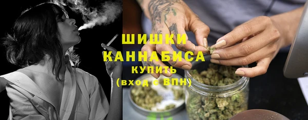 Альфа ПВП Аркадак