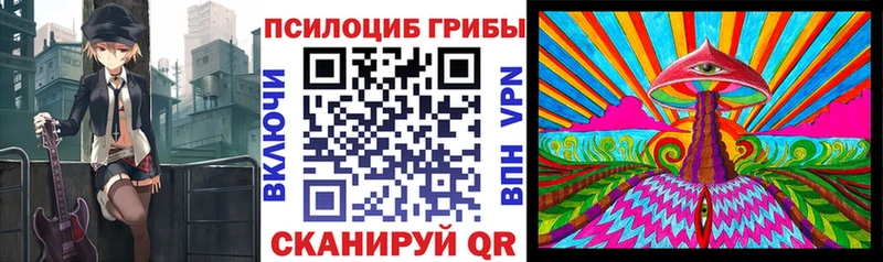 гидра ссылки  Чусовой  Псилоцибиновые грибы мухоморы 