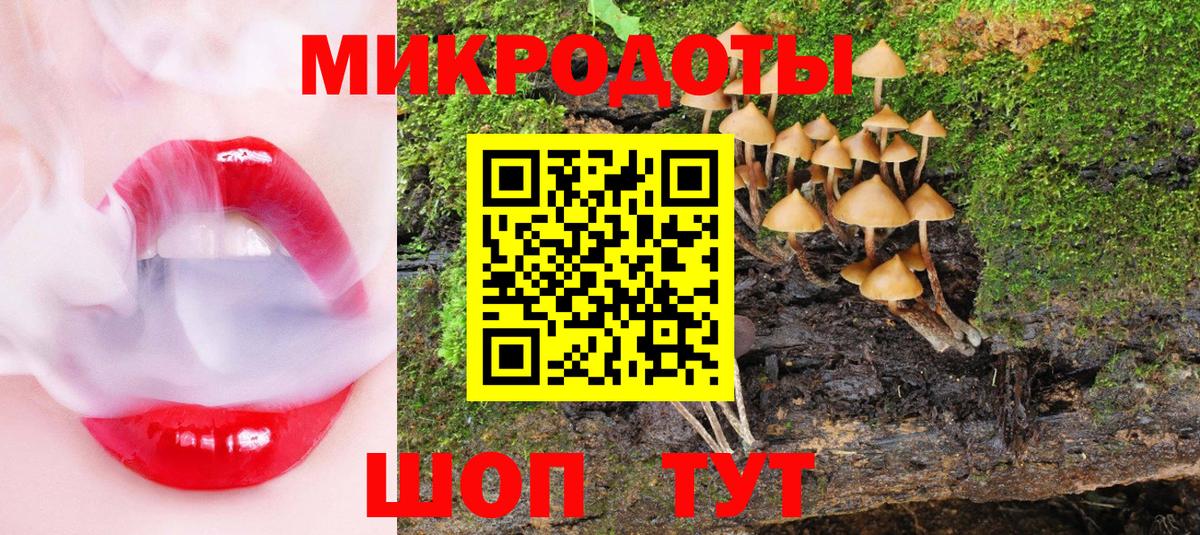 Псилоцибиновые грибы GOLDEN TEACHER  Вход с VPN  Чусовой  Псилоцибиновые грибы Psilocybe 